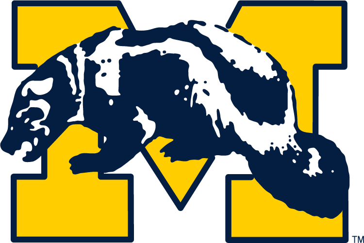 Michigan Wolverines 1964-1978 Primary Logo diy fabric transfer